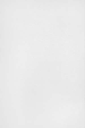Double Roller Blind with Flower White Transparent inner fabric